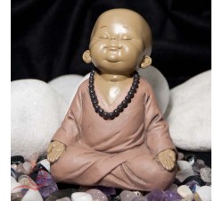 Monk in meditation