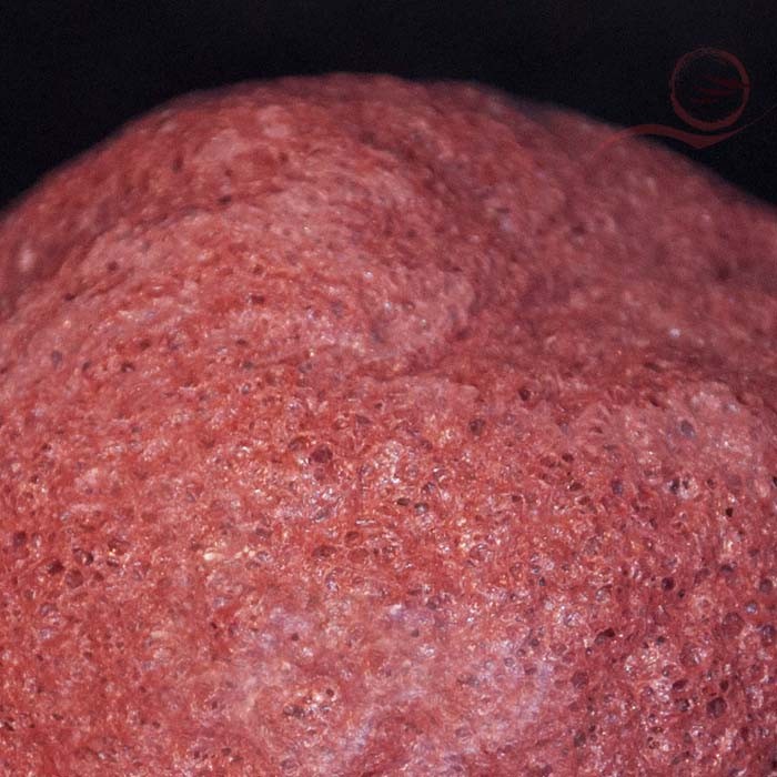 Eponge Konjac Eponge Konjac