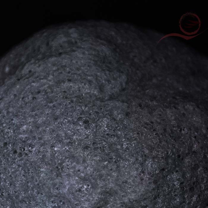 Konjac Sponge Konjac Sponge