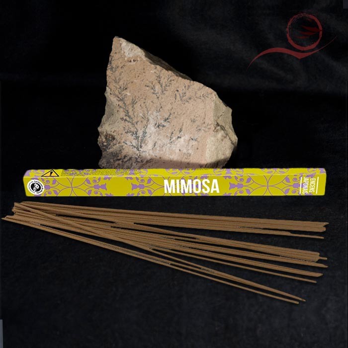 Frankincense from the mimosa world Frankincense from the mimosa world