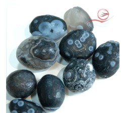 Agate de Gobi