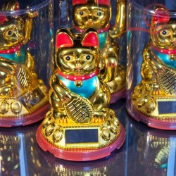 Maneki Neko cat with golden arm